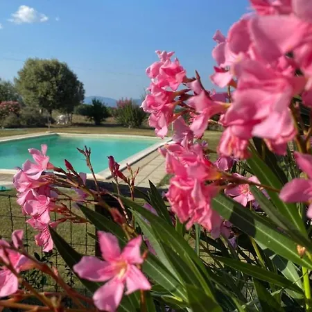 Agriturismo Agrocentorio Tuscany Private *